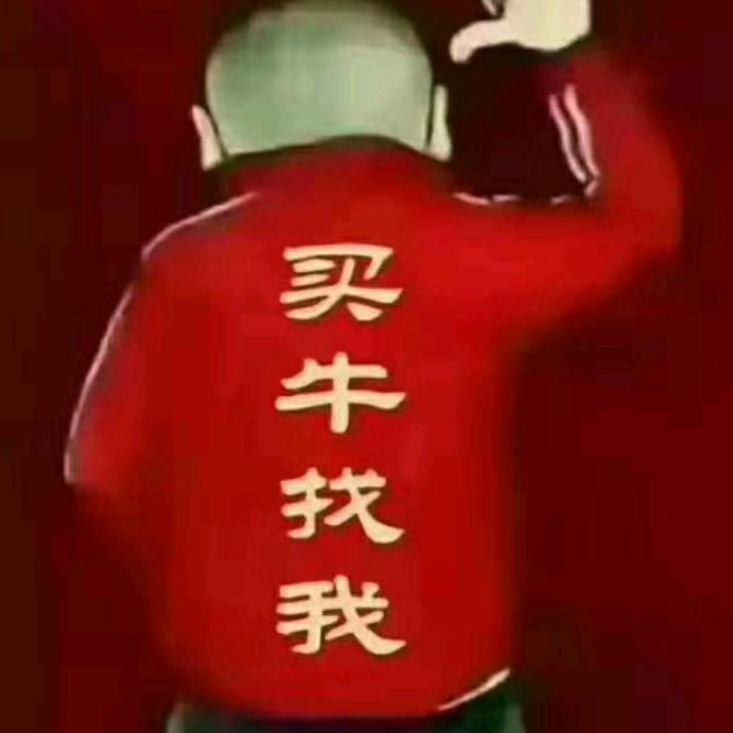石头活牛贸易