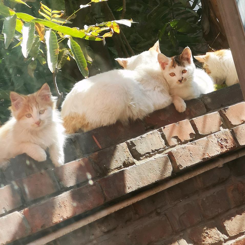 🌈Duff （丹丹）