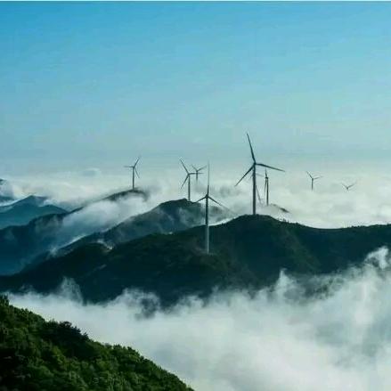 朱姚林（桐城小花）