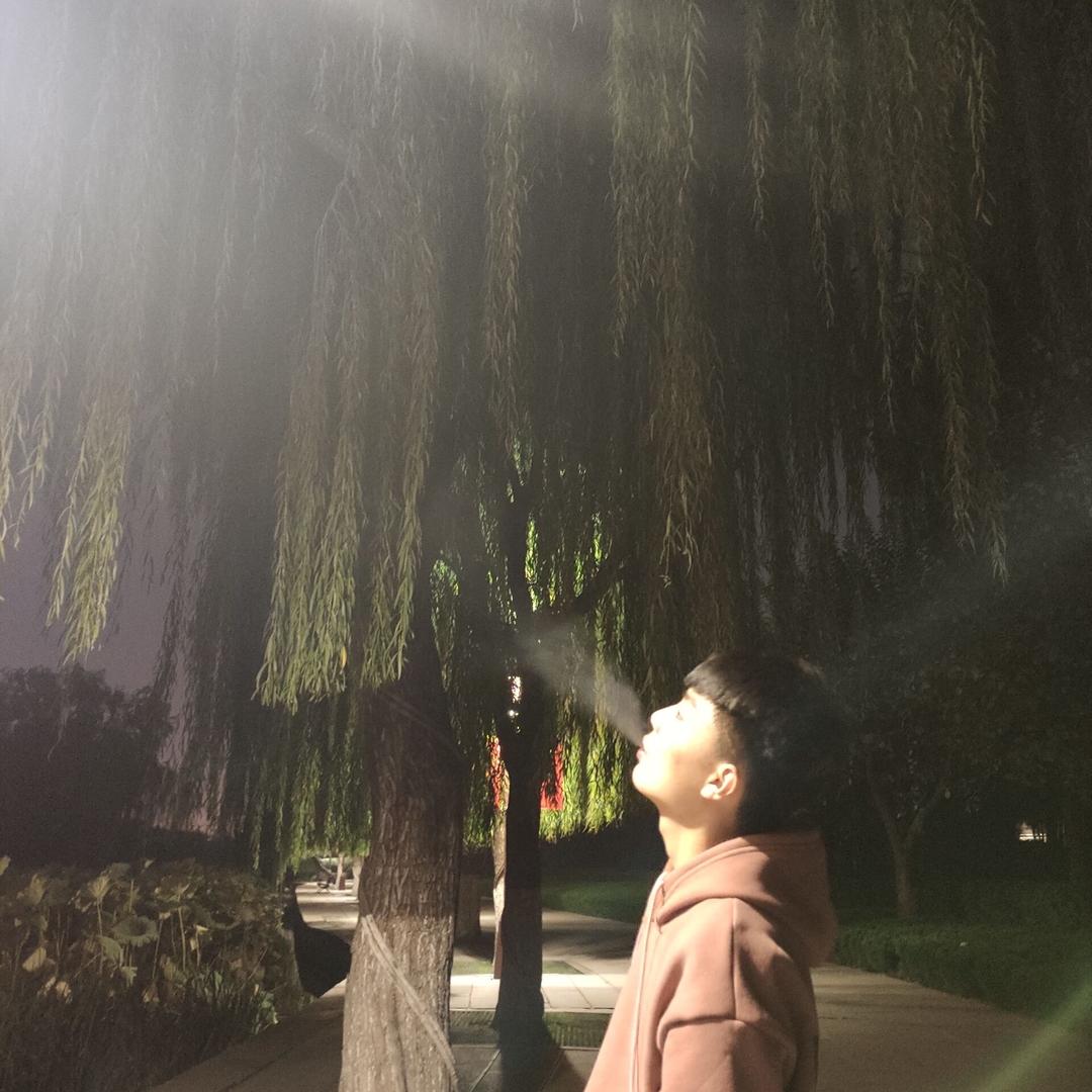 ▛▞▖▖