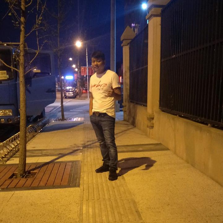 杨梅，榉树（批发）