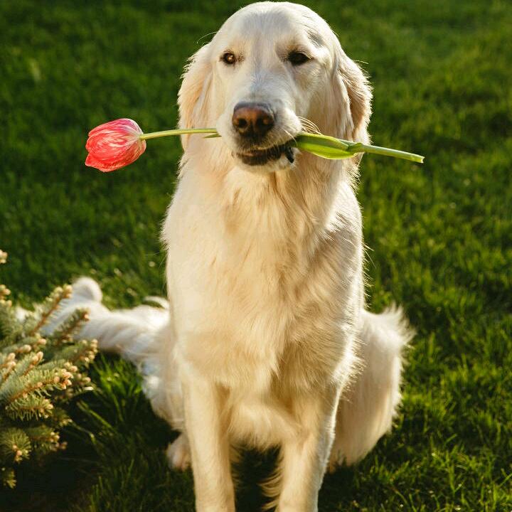 我就是不一样的我🍎