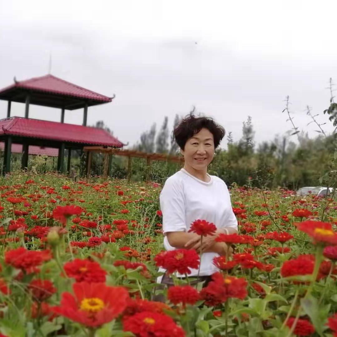 牛花菲特