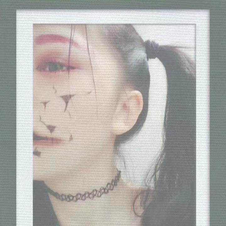 堍兎