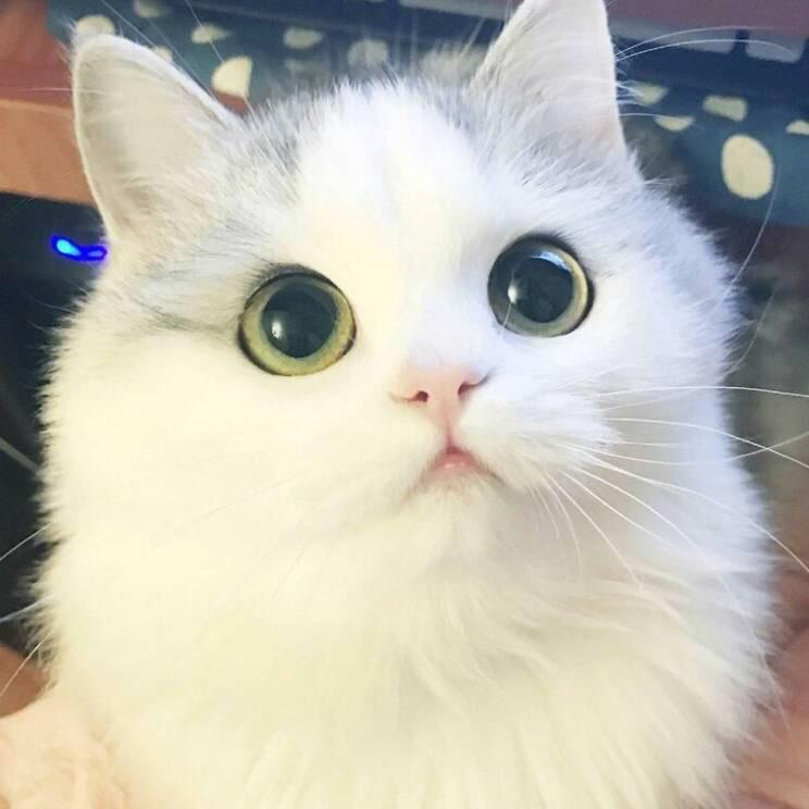 笑看人生.