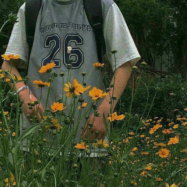 张六秀