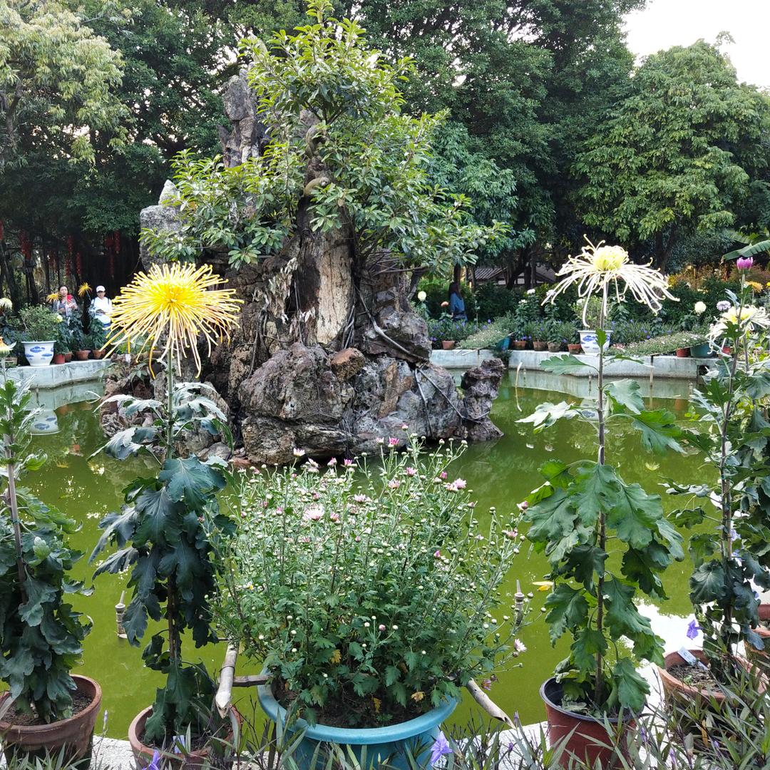 明