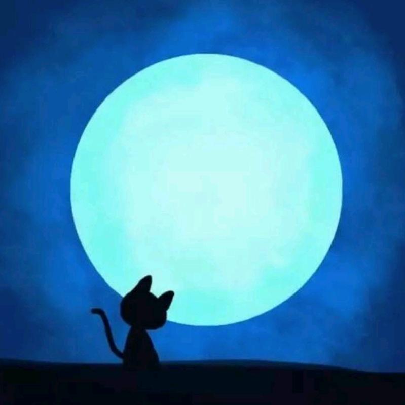空灵琴音