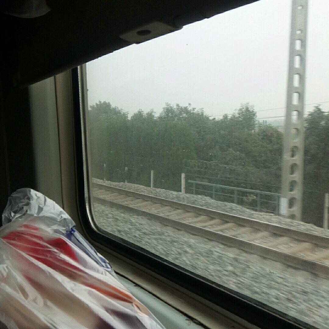 直隶……小苗
