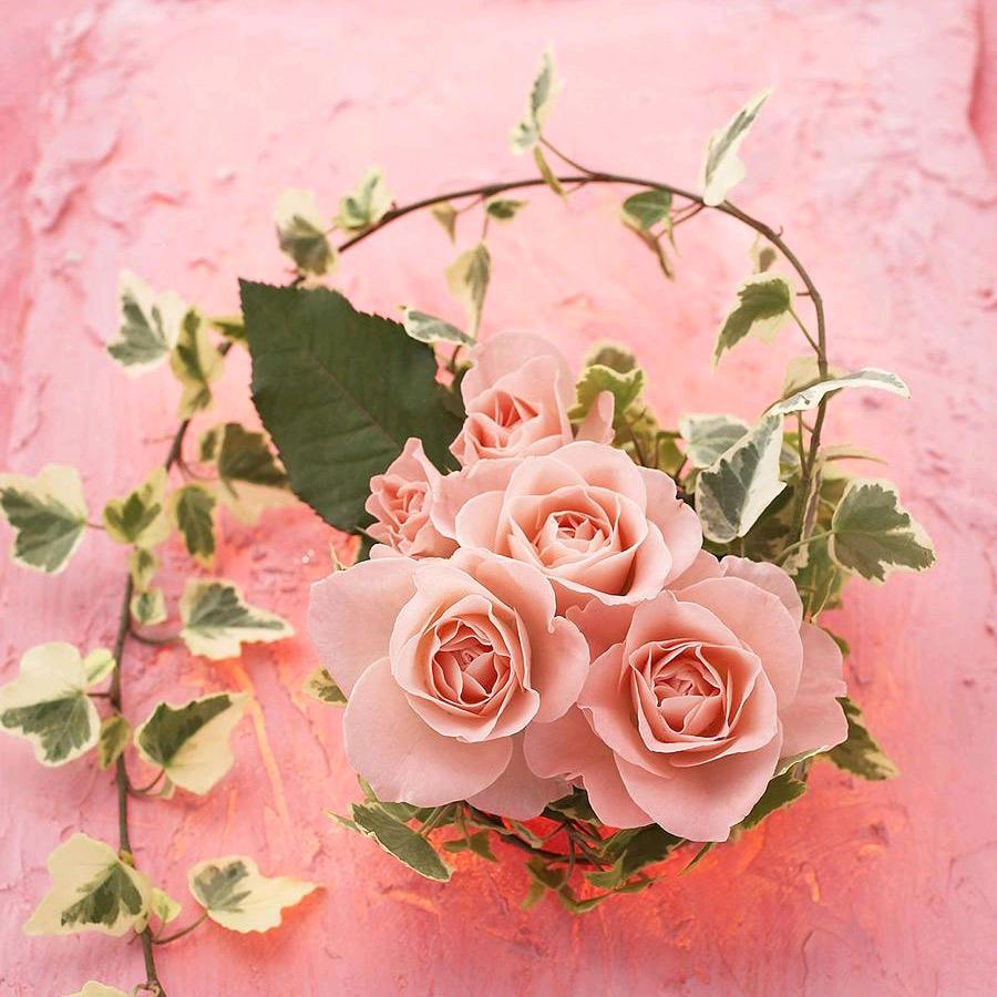 没有乐谱的乐章