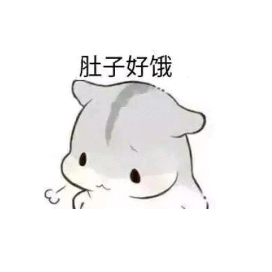 🐰梁soso