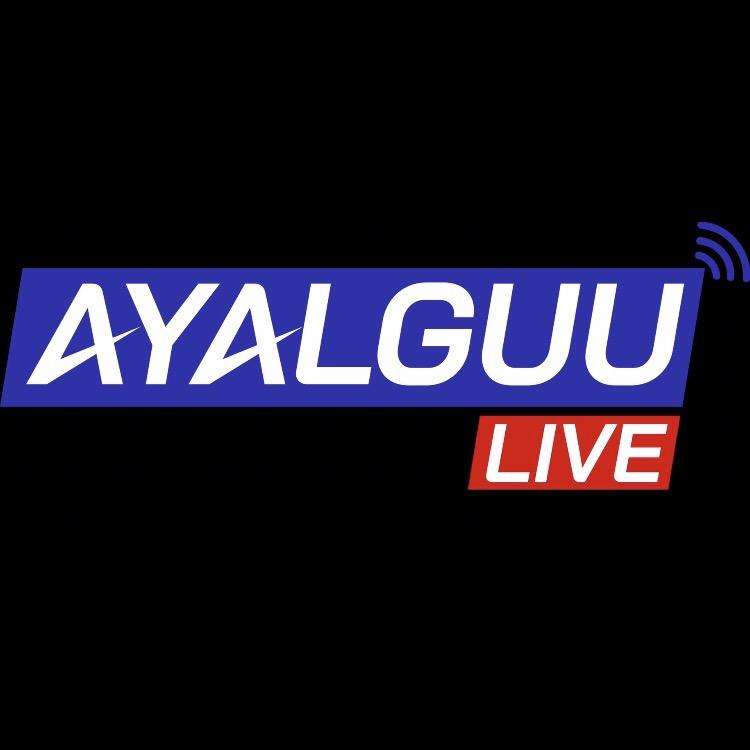 Ayalguu live