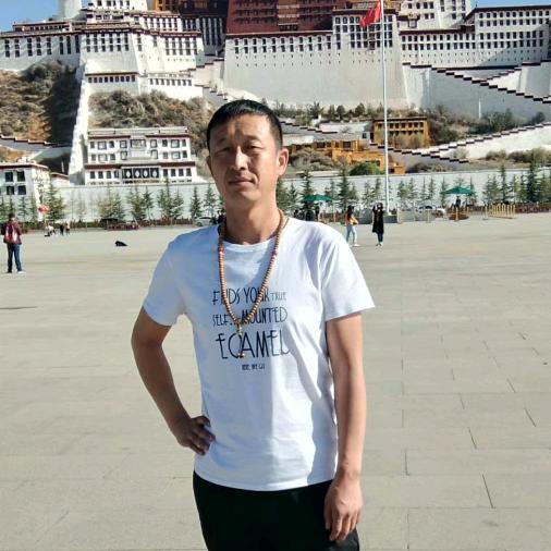 随心远行