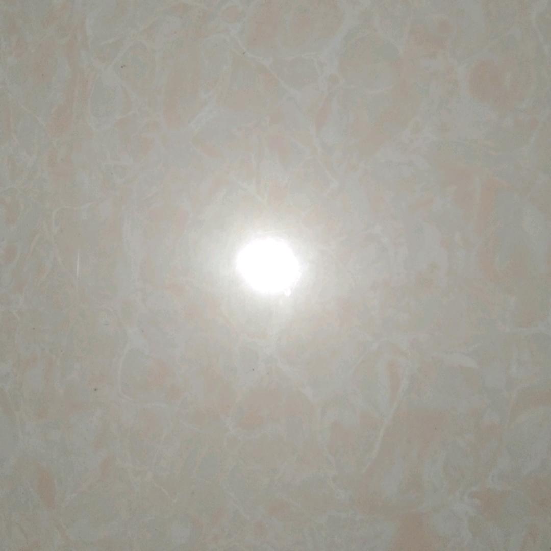 兮兮