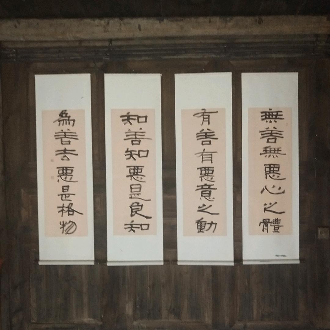每日阳光