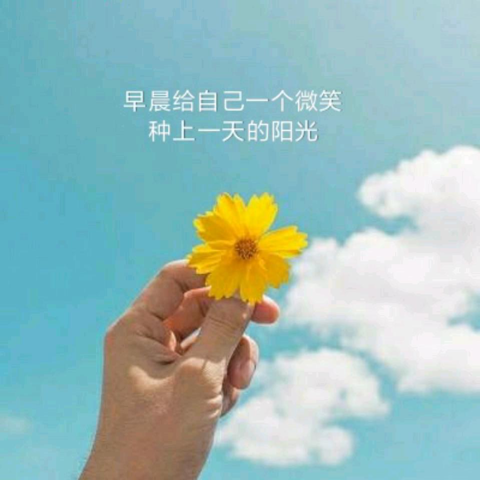 天霖电子
