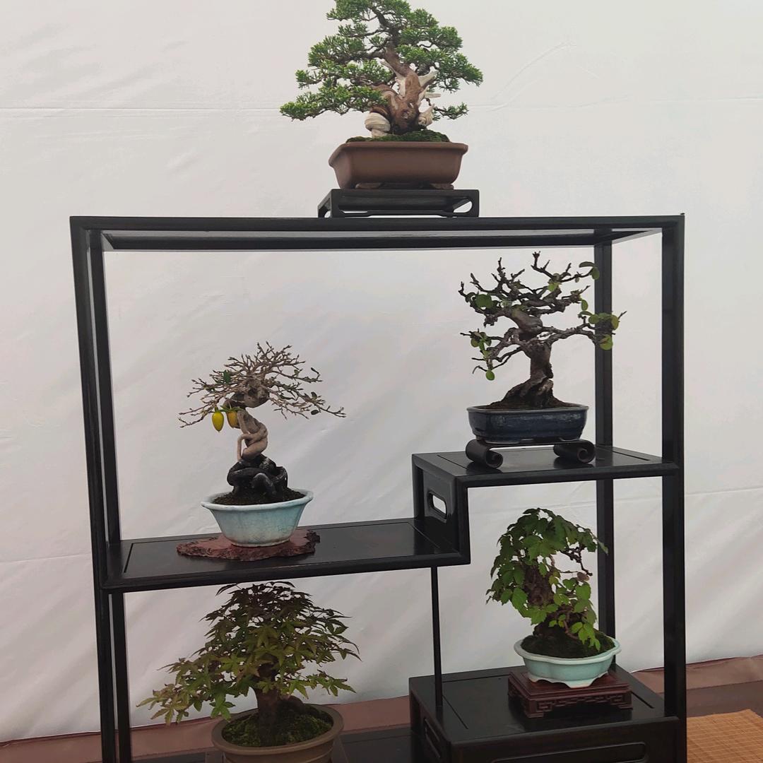 沭阳县扎下镇蓉然花卉园艺场