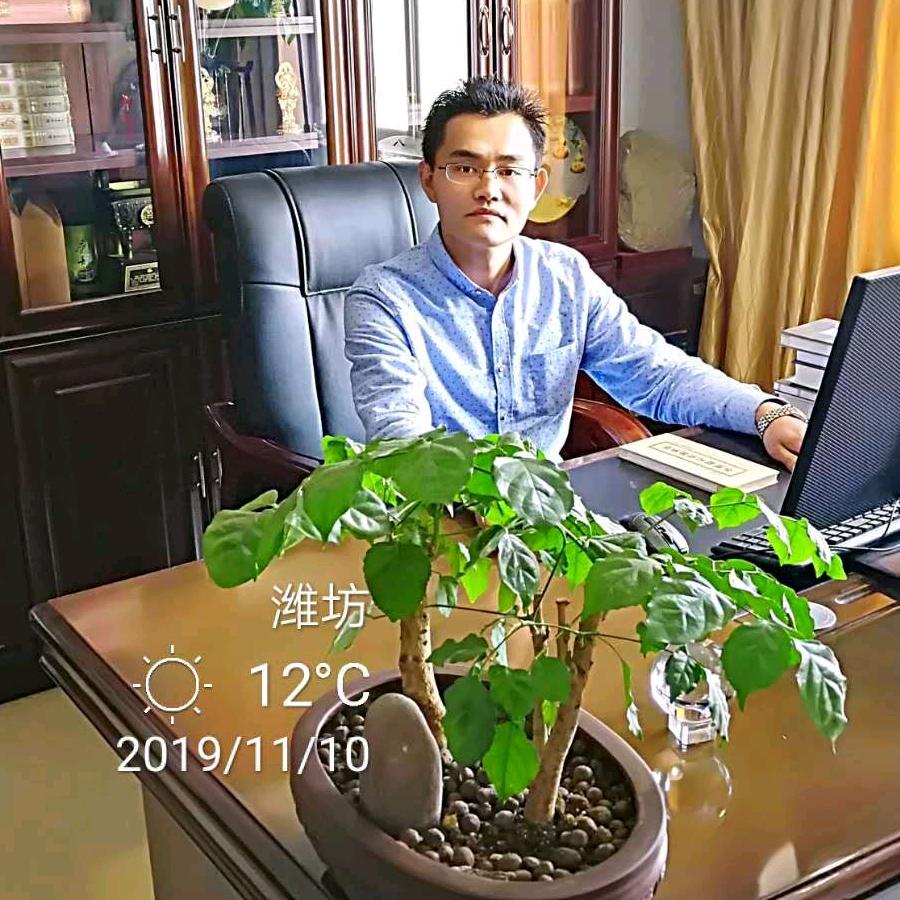 如是艾