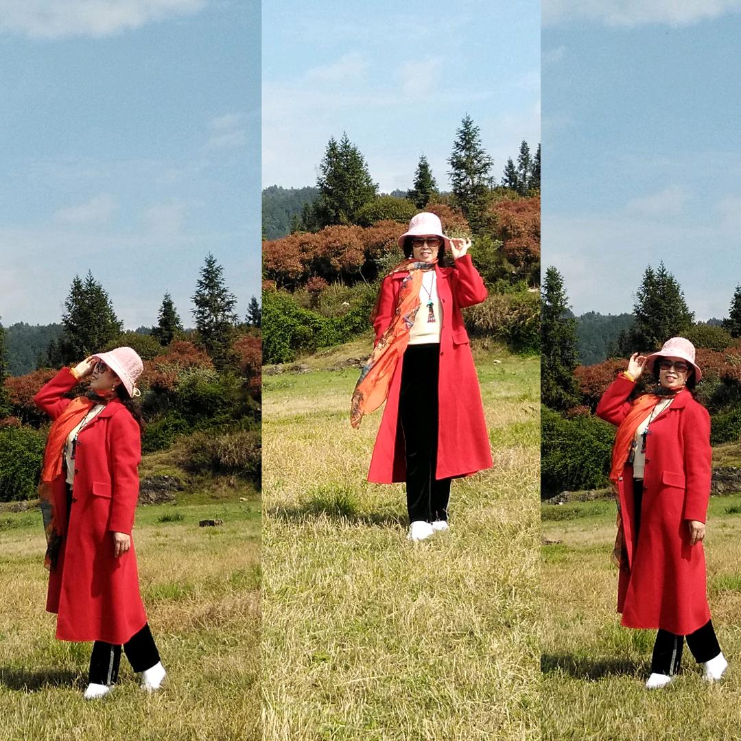 🌺碟恋花💃燕姐姐🌺