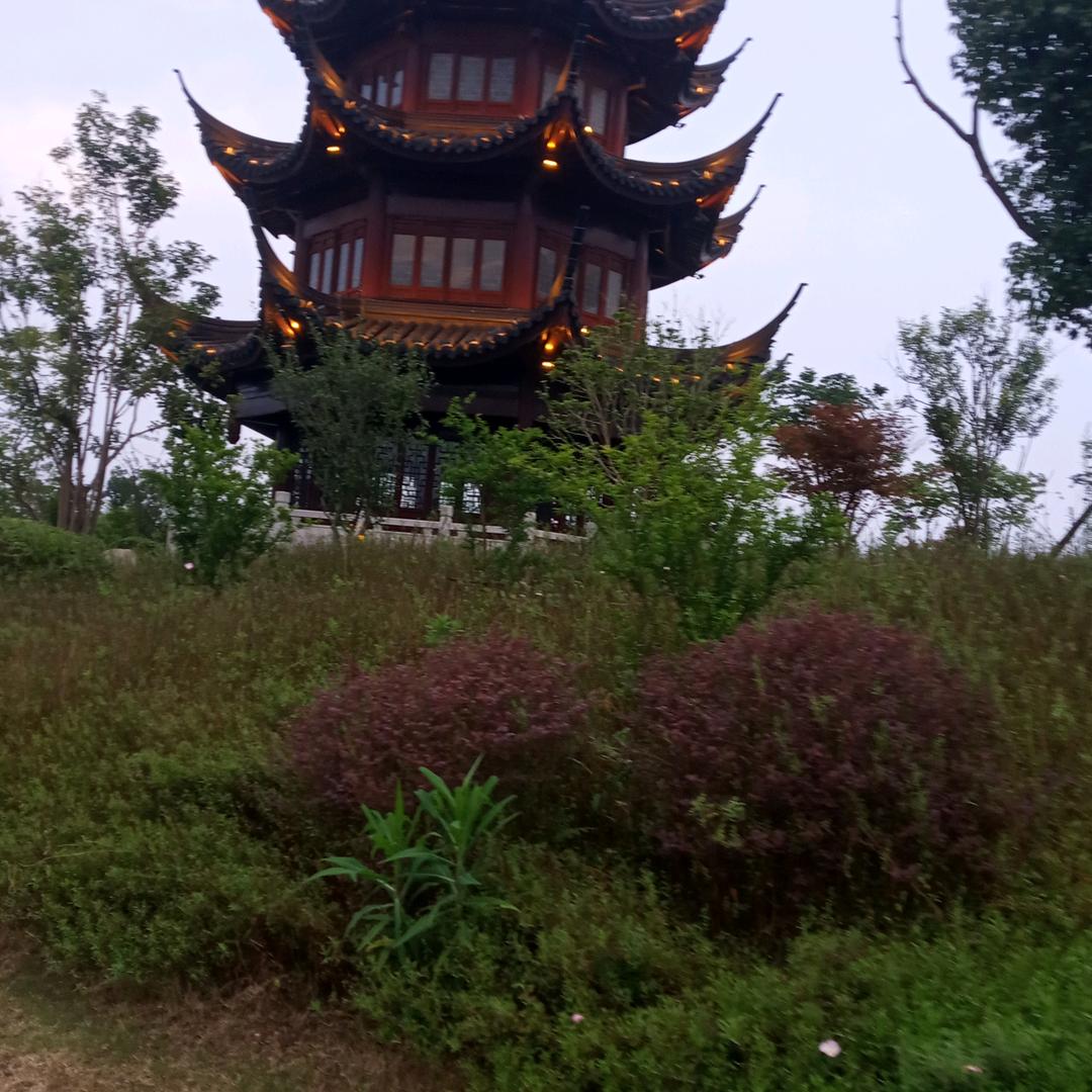 仙@