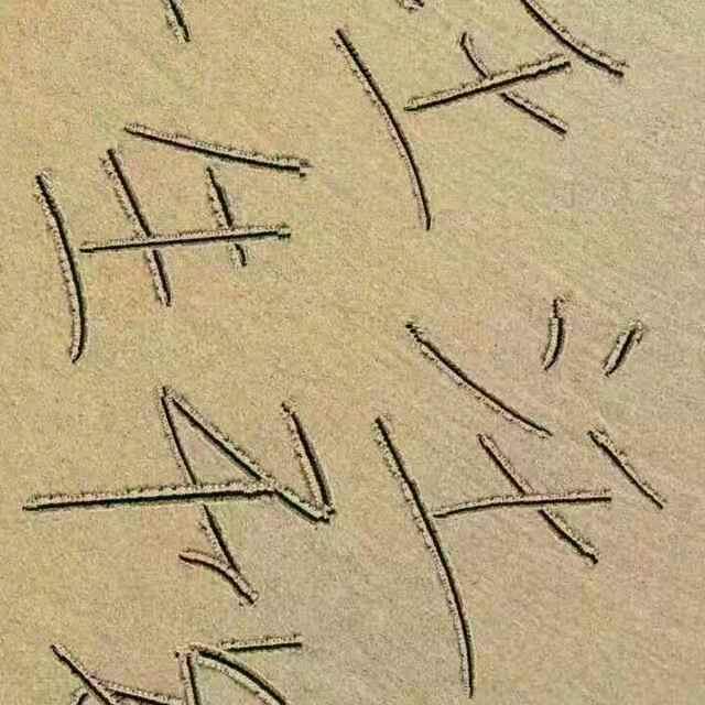 汪汪