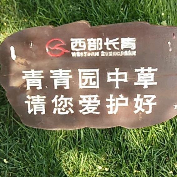 浮生旧梦