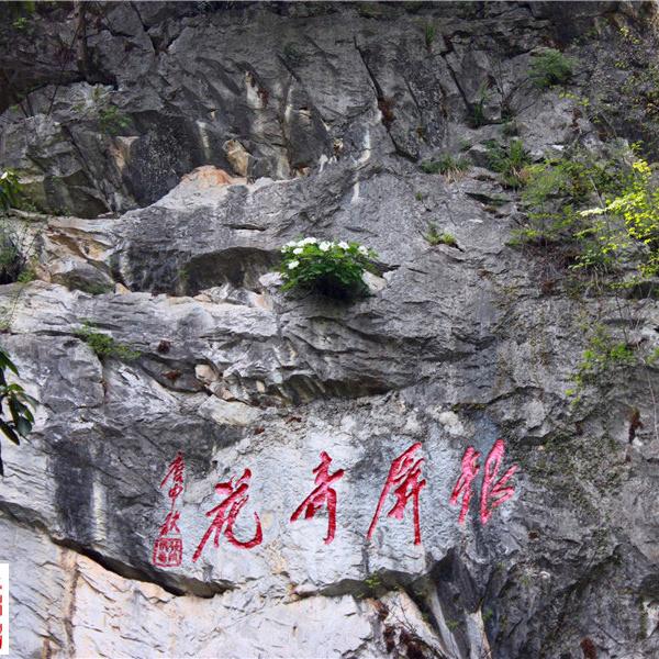 男儿当自强