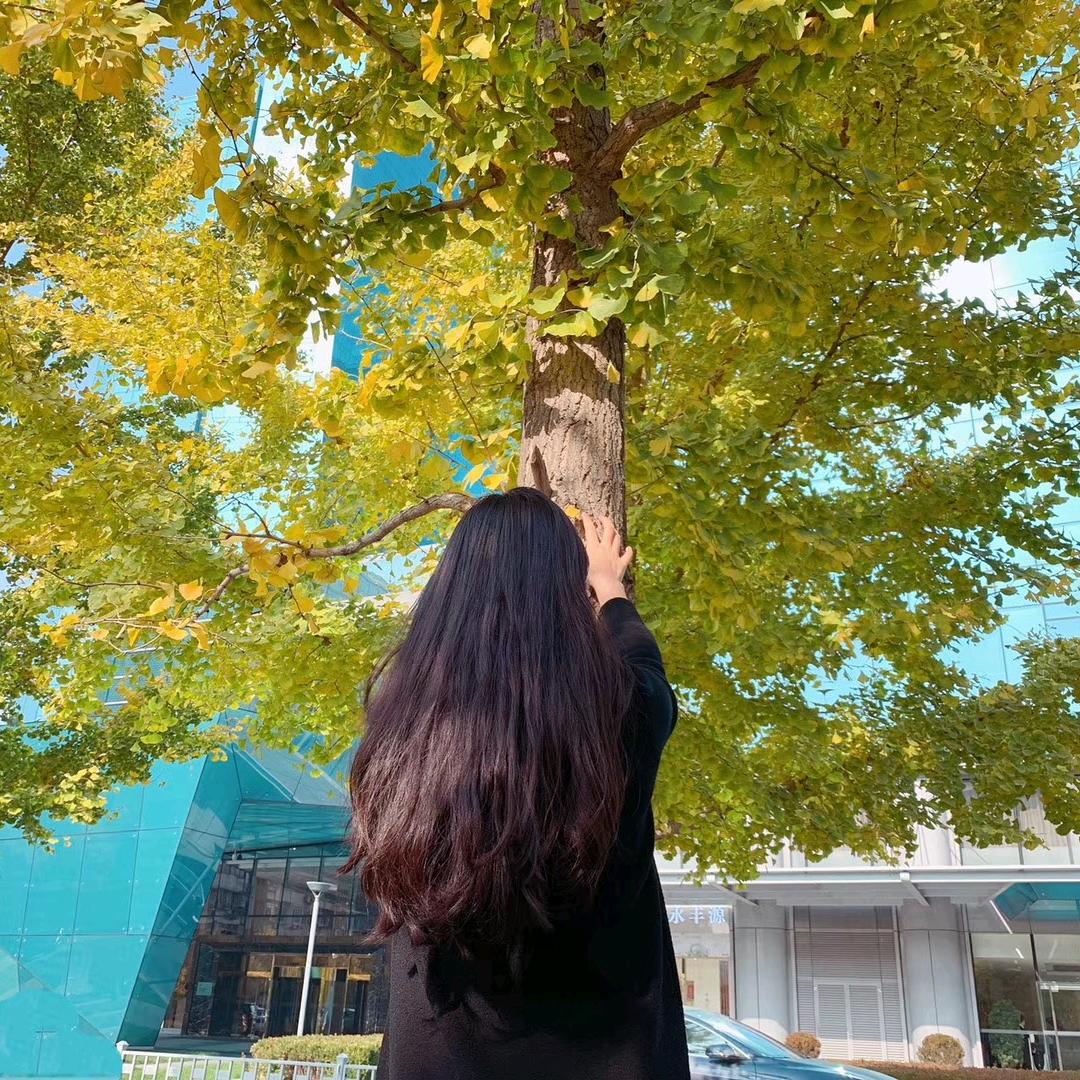 木香