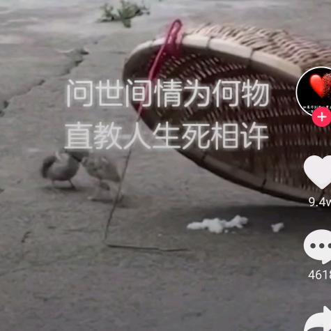 南康区兴耀汽车玻璃店