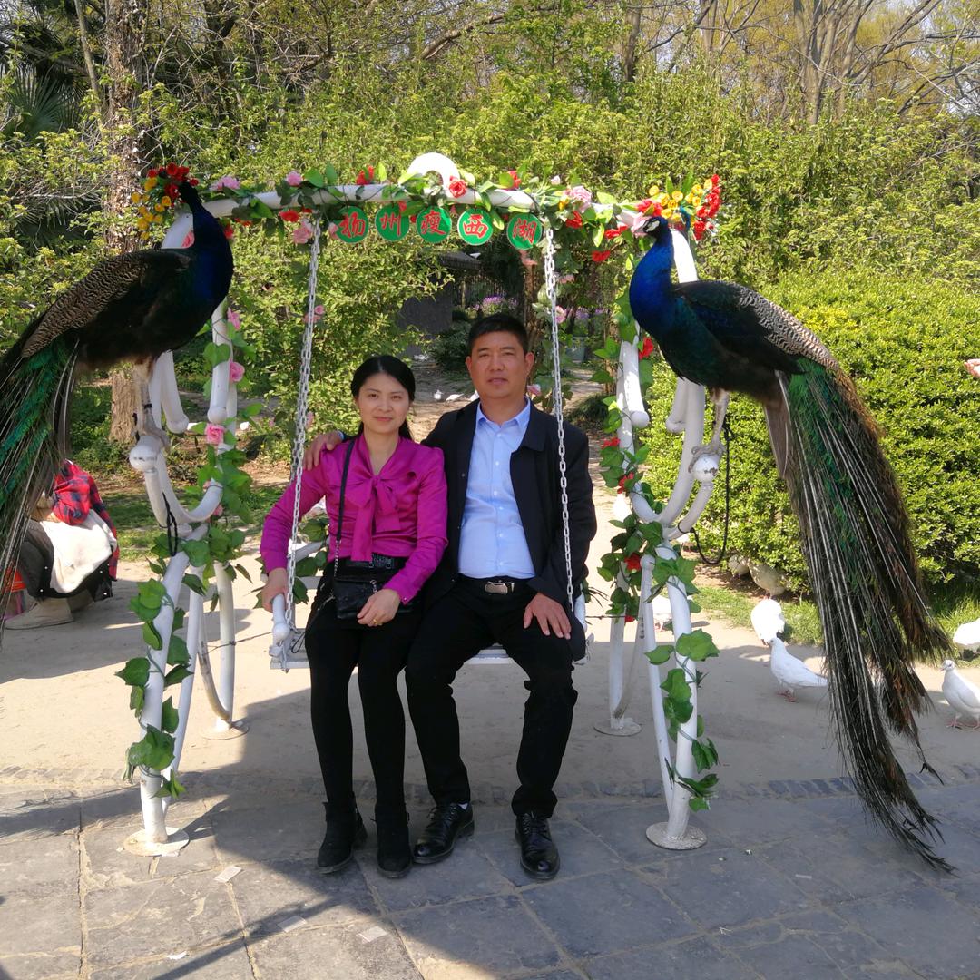 泗阳睿诚二手车交易市场有限公司