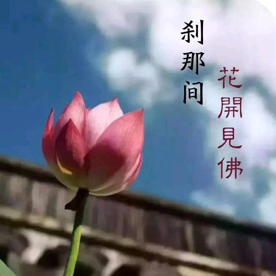 李宛宸