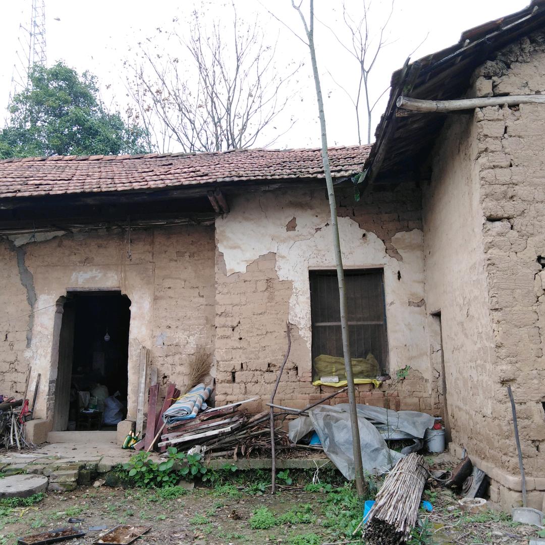 如风吹过的岁月