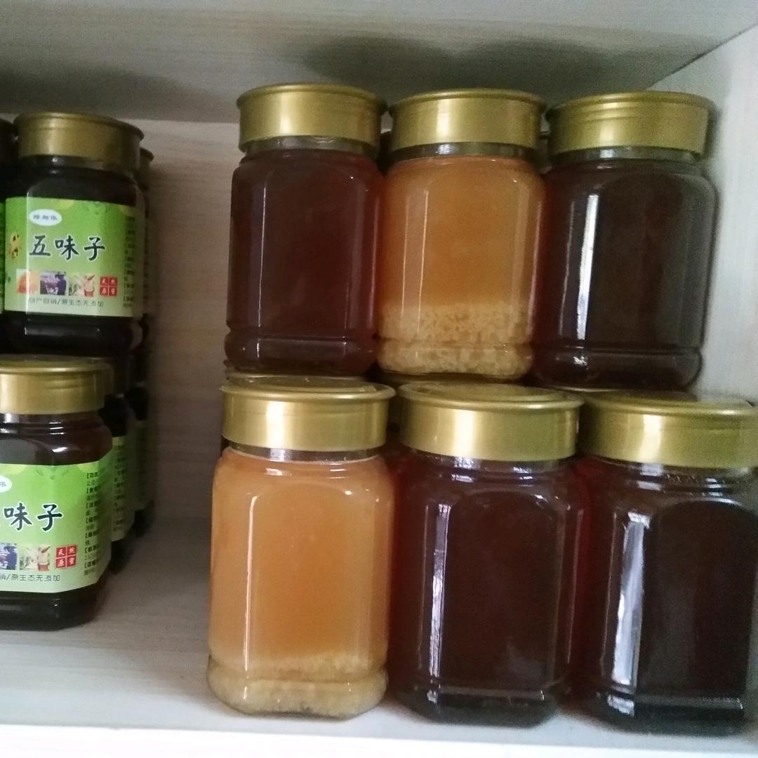 洛阳豫剧王小锋