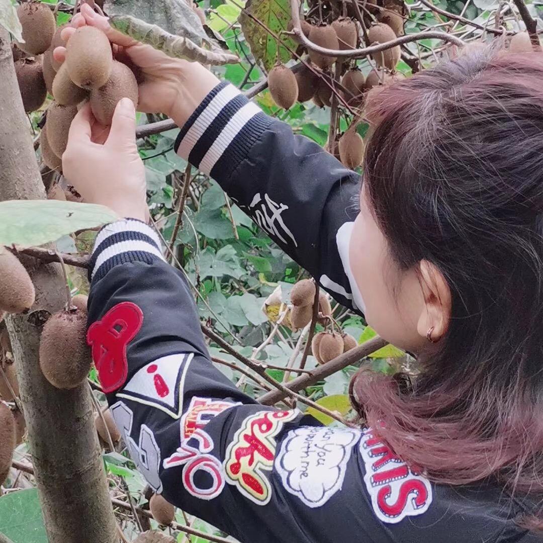 燕子