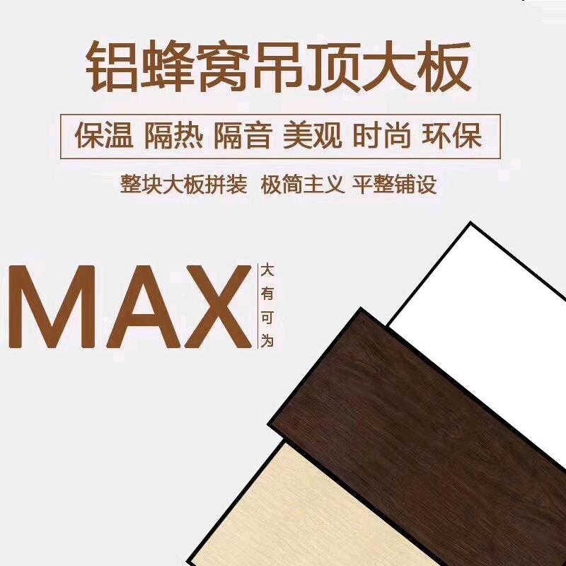 舞动铝蜂窝大板吊顶