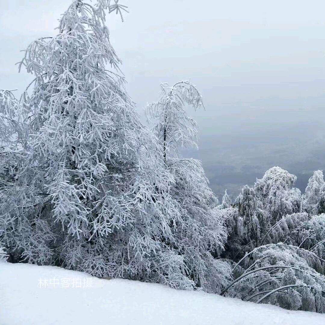 じ寂寞刚好三分熟