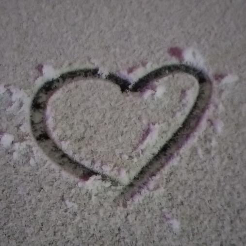 晚夜微雨问海棠