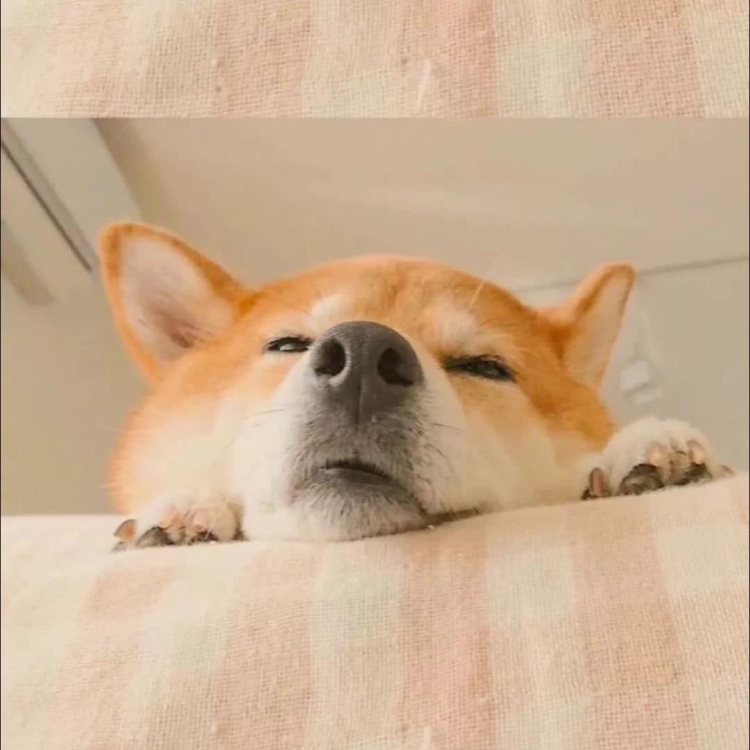 亿强地毯