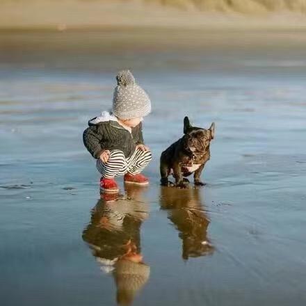 小小朋友露营🏕️✨