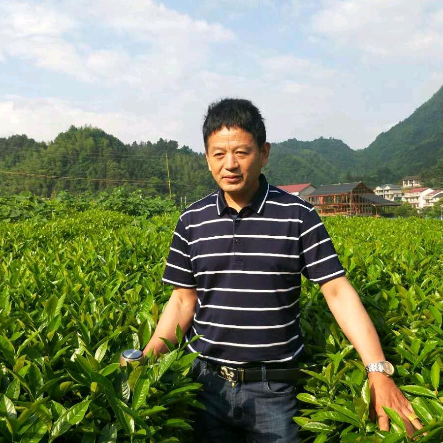 王亚刚