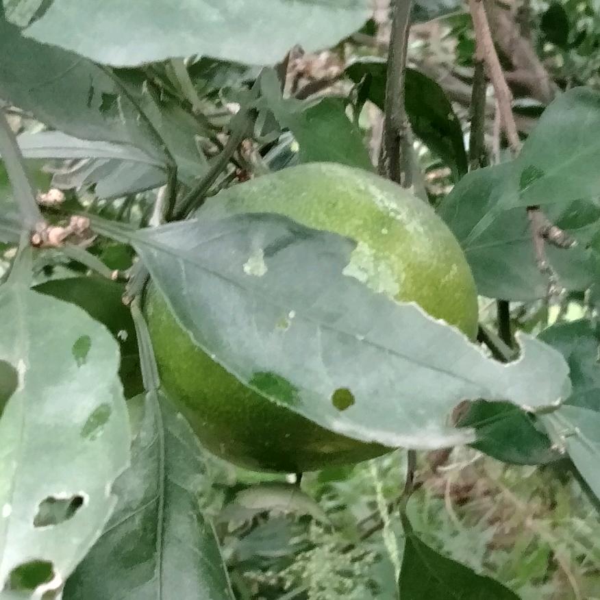 陪你到底🇨🇳