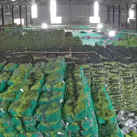 江苏精品地笼