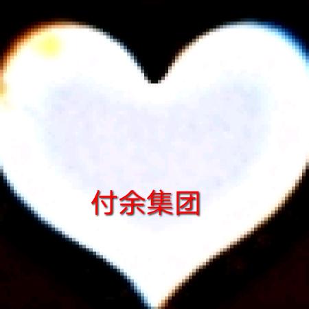 付余集团