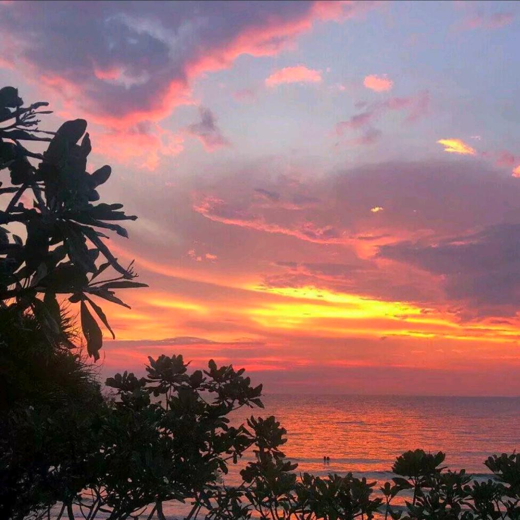 星星✨美食推荐