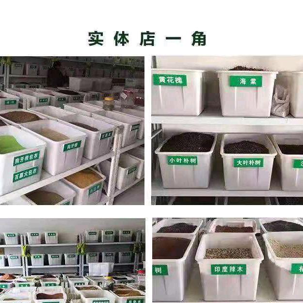 长鸿种业