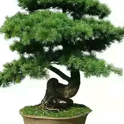 人字好写人难做