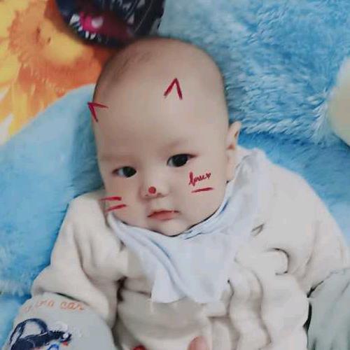 顺《  》《  》然