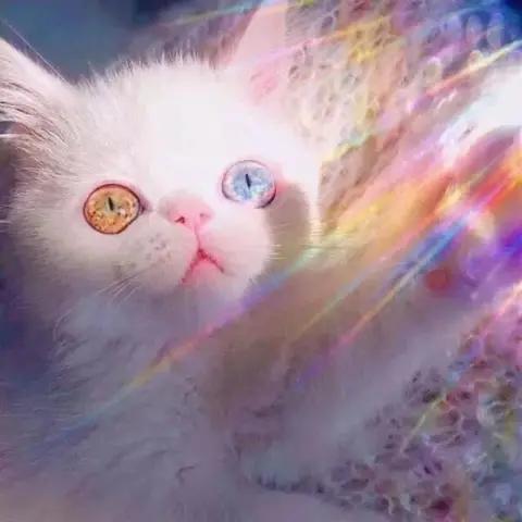 处于