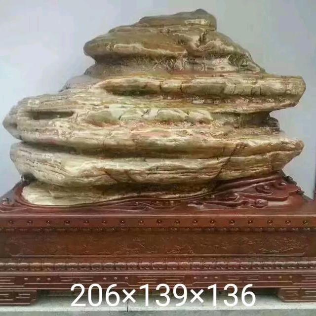 《柏泰园》漳州真柏素材基地