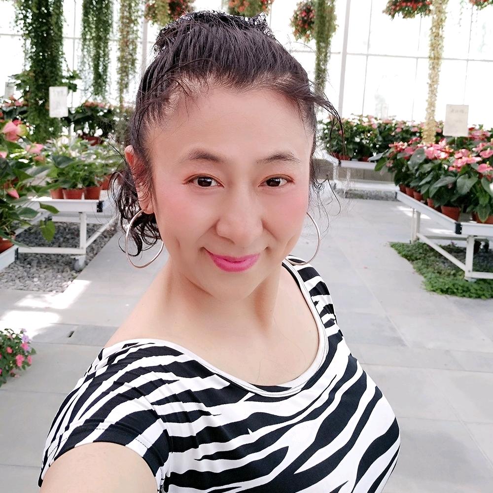 清水芙蓉